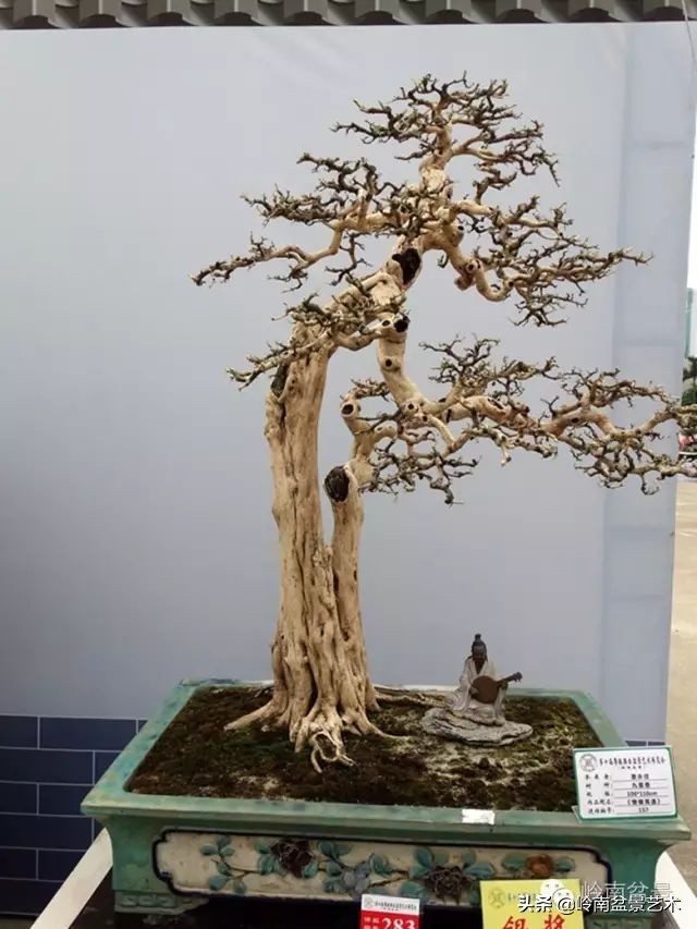 骞哥涔呬箙鐢滅敎铚滆湝,骞哥涔呬箙