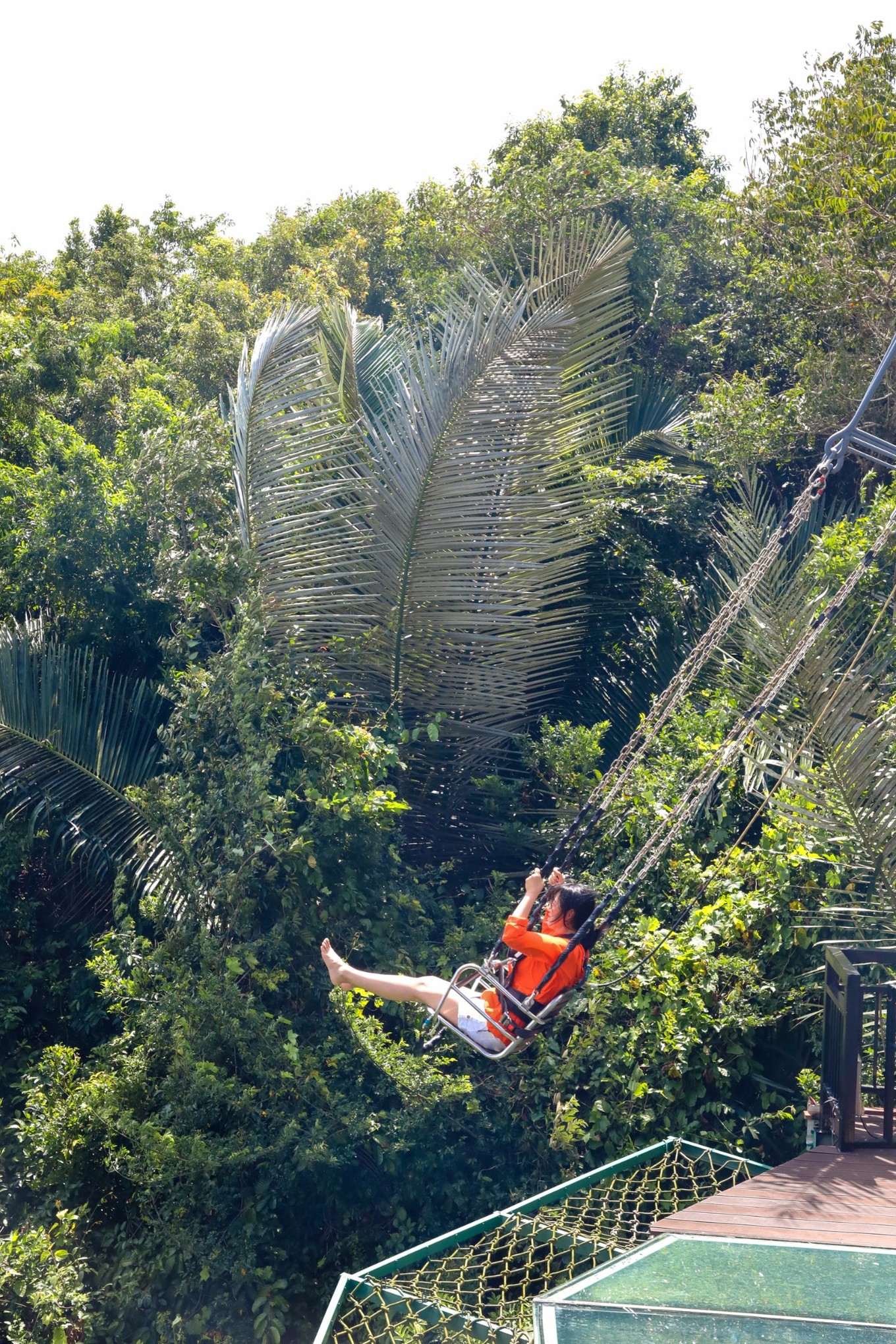 呀诺达雨林探险是什么,三亚呀诺达雨林正规吗