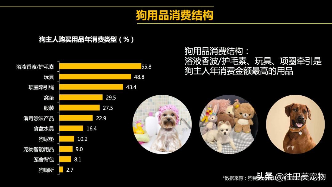 胖狗穿红色衣服,胖狗能穿什么颜色显瘦