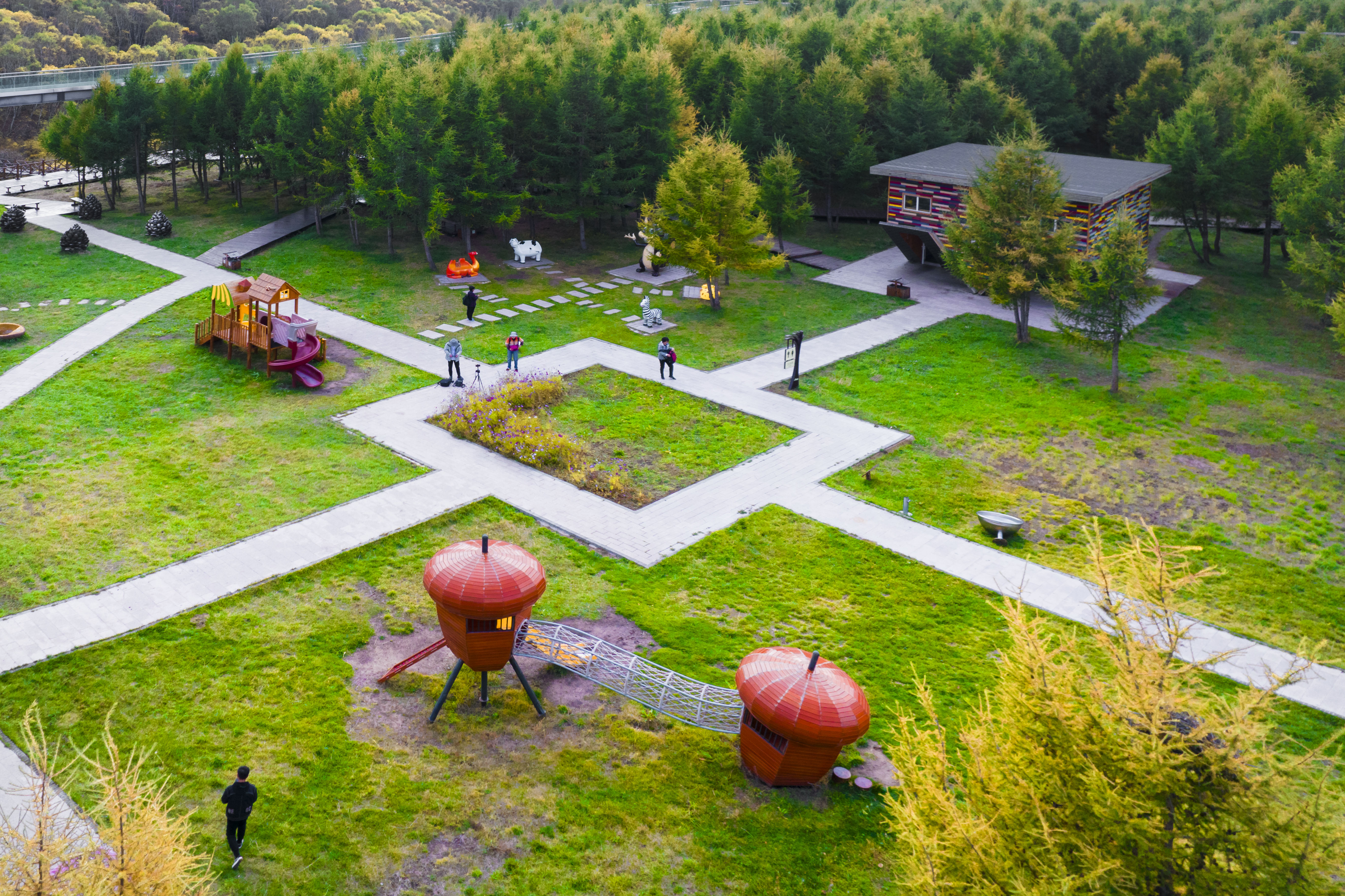 丰宁神仙谷七彩森林景区地图,丰宁坝上七彩森林游玩攻略