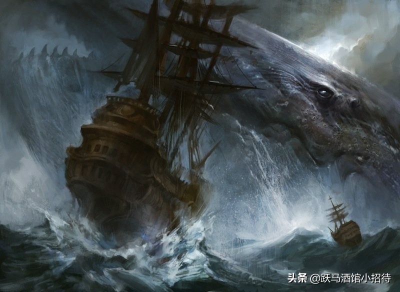 金刚大战哥斯拉怪兽电影解析,金刚哥斯拉大战怪兽