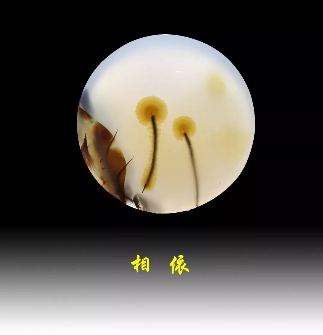 表面很光滑的石头是什么石头,非常细腻却没有硬度的石头