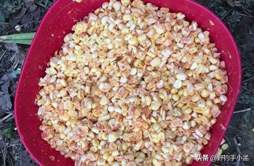 上鱼最快野钓方法冬季窝料,钓鲤鱼怎么开饵附钩性好