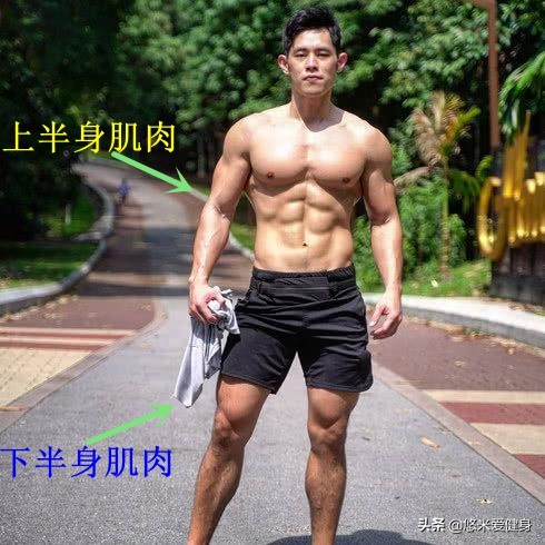 使用哑铃6个动作使你练遍全身,用一个哑铃锻炼全身10分钟