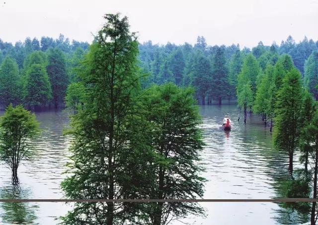浙江各地市误解,你以为的临安vs实际上的临安