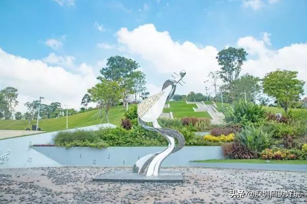 深圳白天游玩公园景点推荐,深圳红树林公园日落