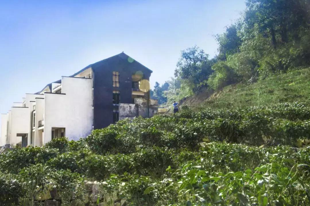 云雾山最近的路线,云雾山二日游