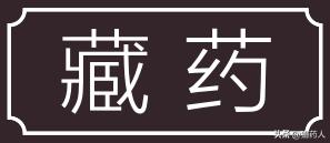 四川省道地药材生产区划,区域道地药材