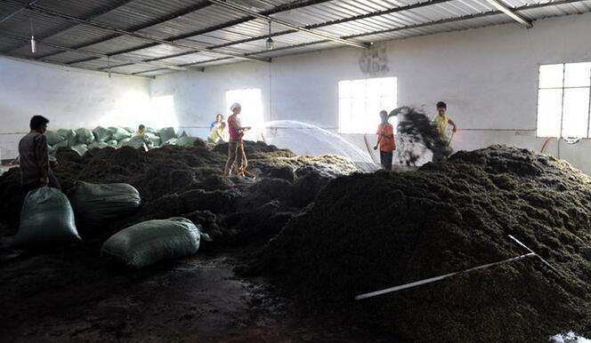 从业十年我所经历的火爆和低迷,茶行业真实揭露