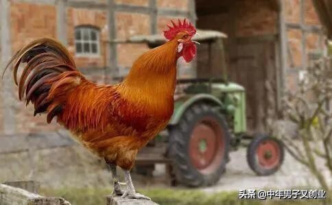 南方传统春节民谣,唱关于春节的传统民谣