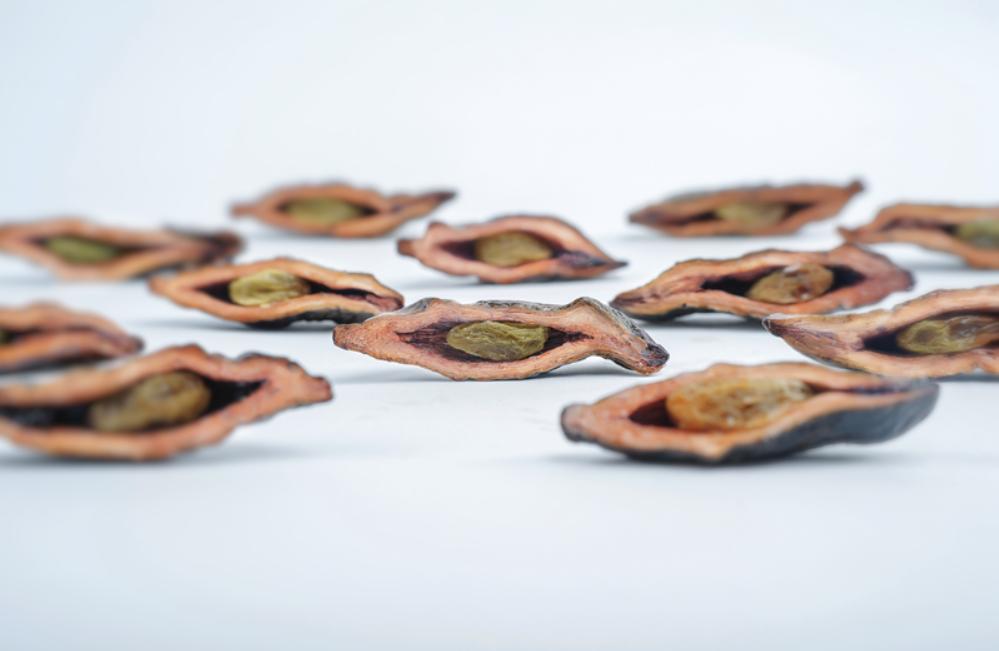 嚼槟榔到底有多大的危害,槟榔的毒性到底有多强