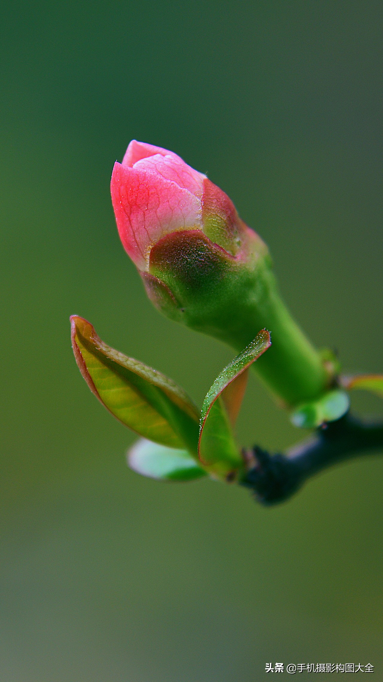 拍出好照片的5大摄影心法,摄影做减法技巧