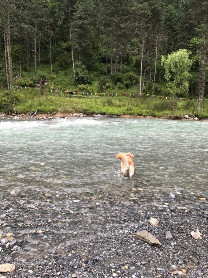 成都喇叭河自驾,自贡到喇叭河自驾