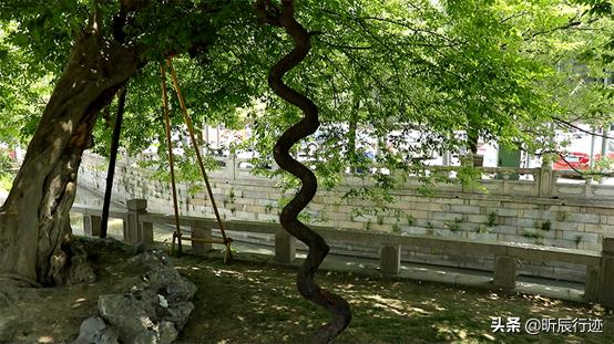 游览了千年古镇,游千灯古镇