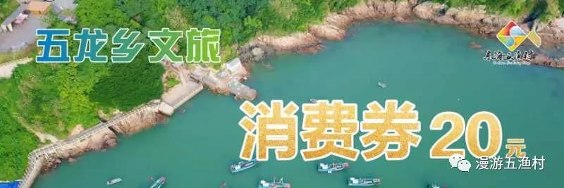 渔你有约|一起到“东海五渔村”来薅羊毛团队入住“五龙”就有诱人补贴