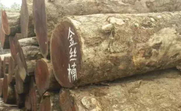 2000万，却是根破烂木头？