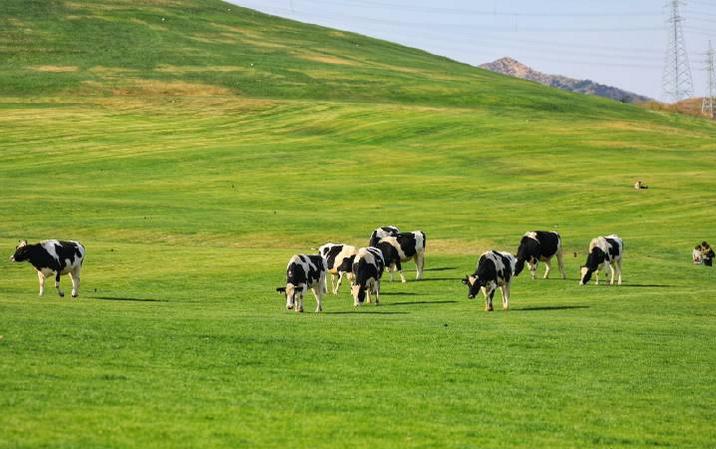 避暑亲子旅游推荐5天游,暑期草原亲子游攻略
