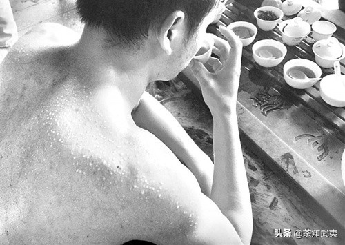 和星岩茶官网,和星岩匠心独韵价格