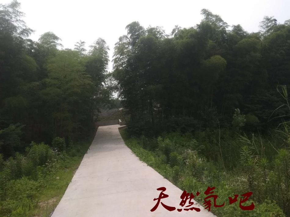 乡村舞台景观,乡村大型舞台搭建