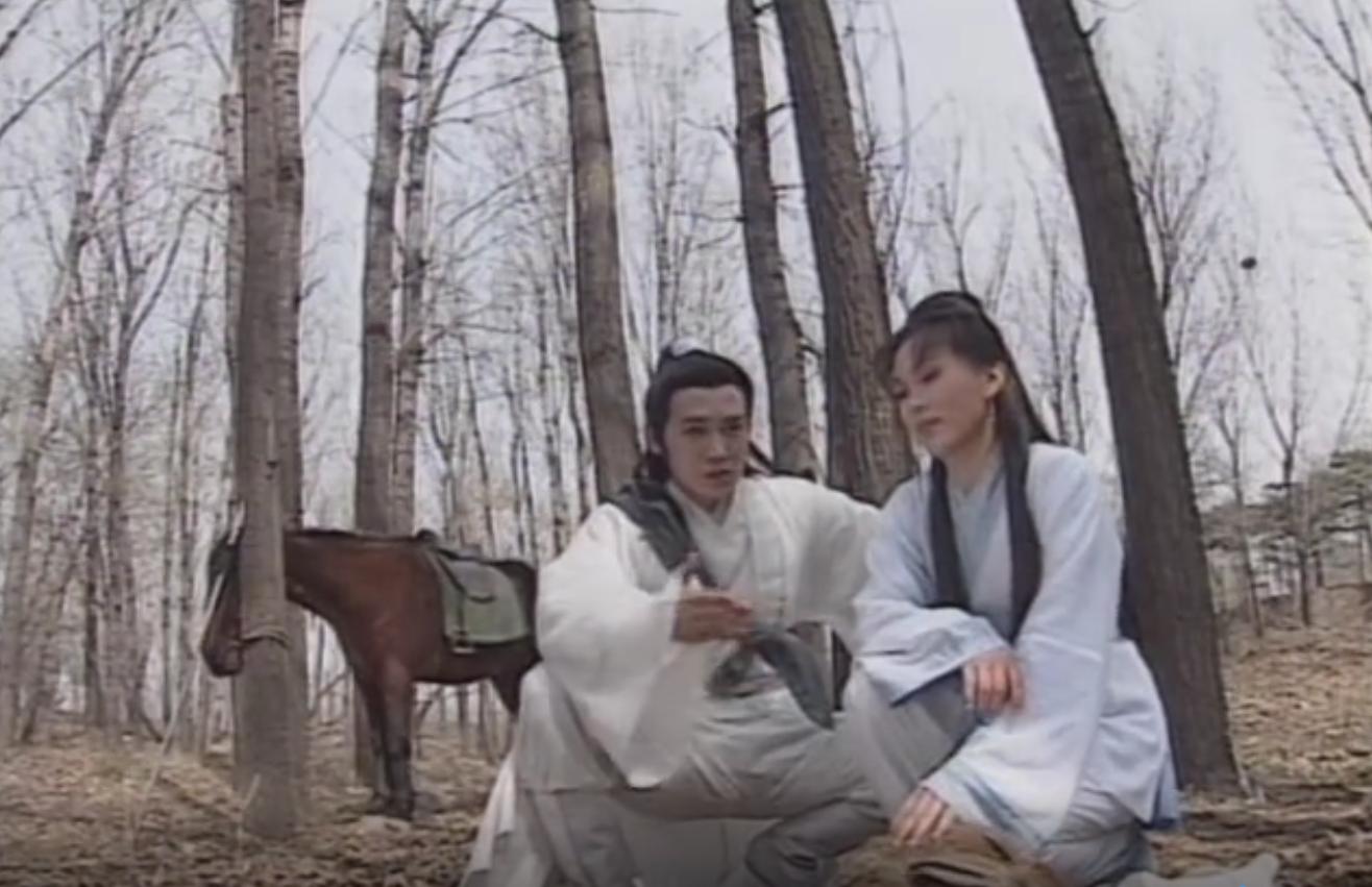 杨宗保与穆桂英第三次交手,杨宗保穆桂英耶律皓南