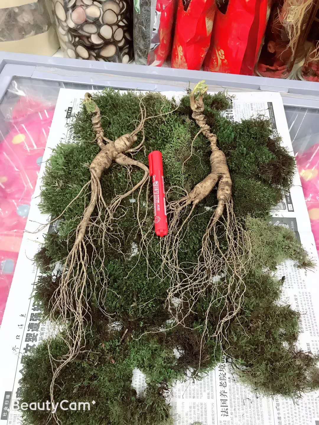 鹿茸人参灵芝枸杞泡酒配方和功效,人参鹿茸枸杞灵芝泡酒的最佳配方