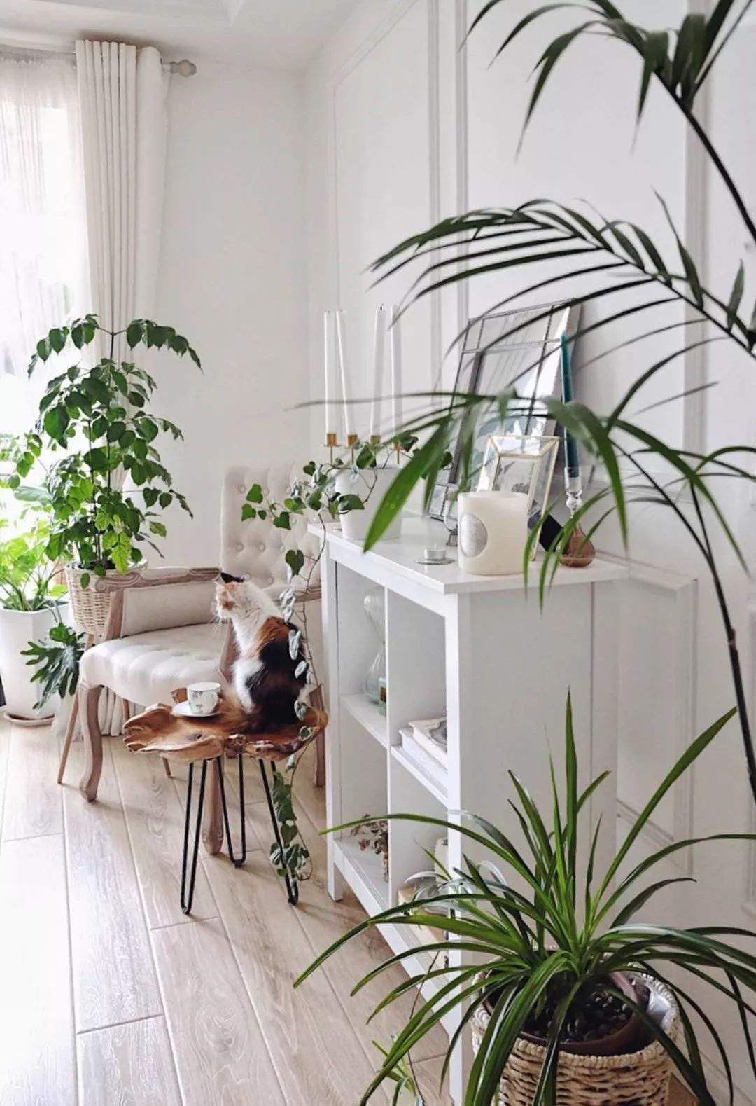 小夫妻98㎡家意外走红！登北京地铁广告，这个家才是都市里的奢侈