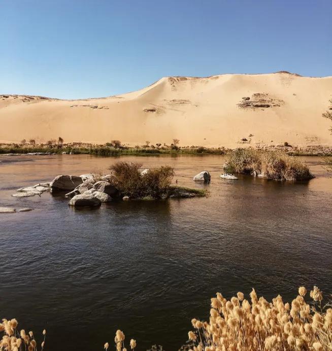 这15座花园勾勒最美的人间