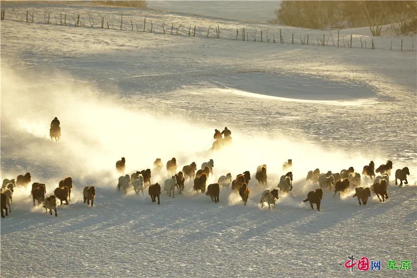 一起去看美丽的坝上草原,秋季坝上草原游记