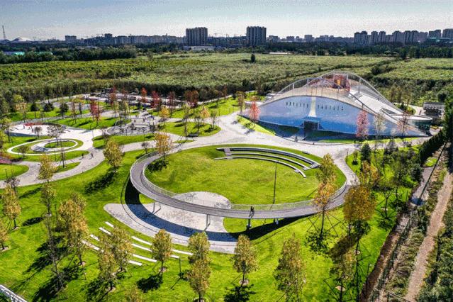 落下的星空-三叶公园未来生活体验场|DDON笛东