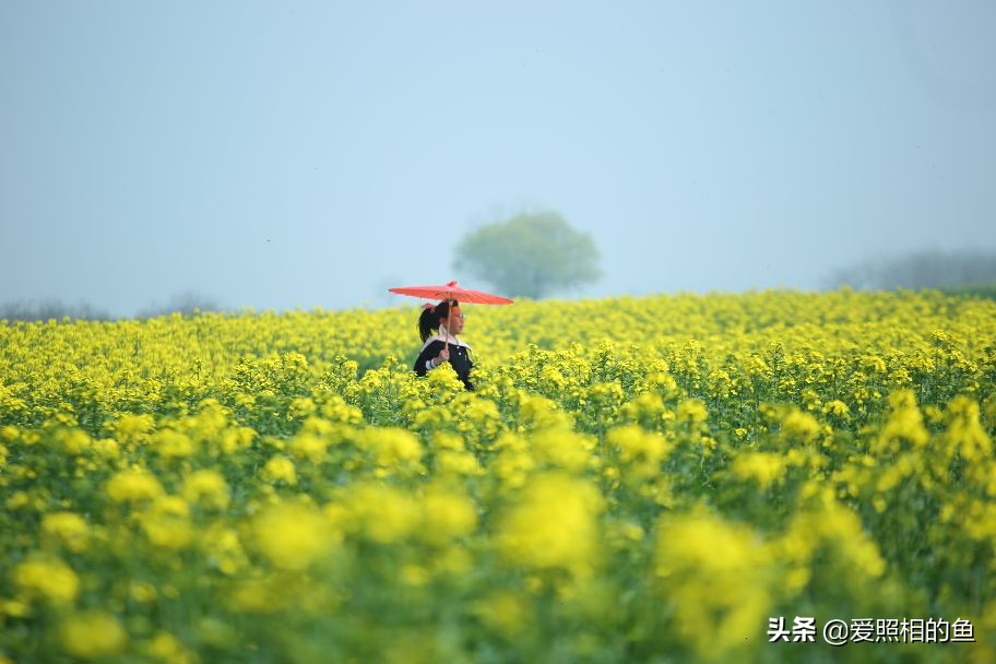 一个普普通通的小镇兴化,兴化为什么没有大城市的繁华