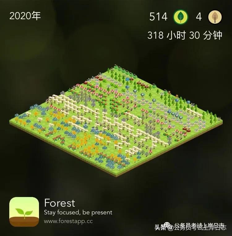 公考必备软件技术指导,公考知识点学习软件