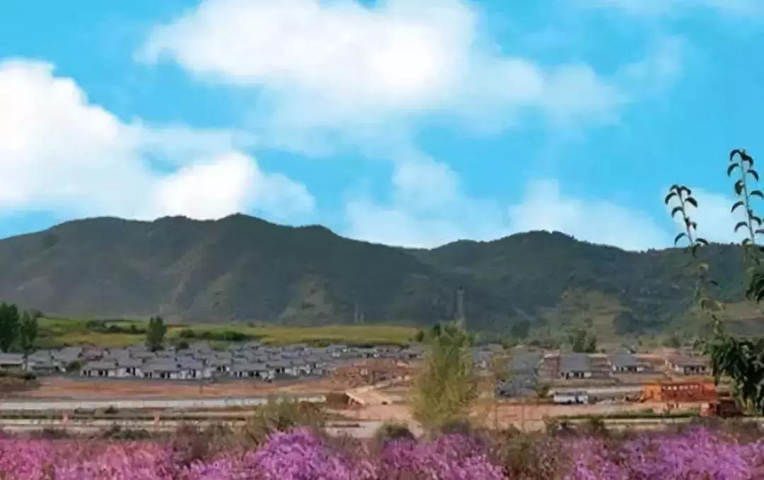 十一本地旅游推荐,十一最适合去哪旅游攻略