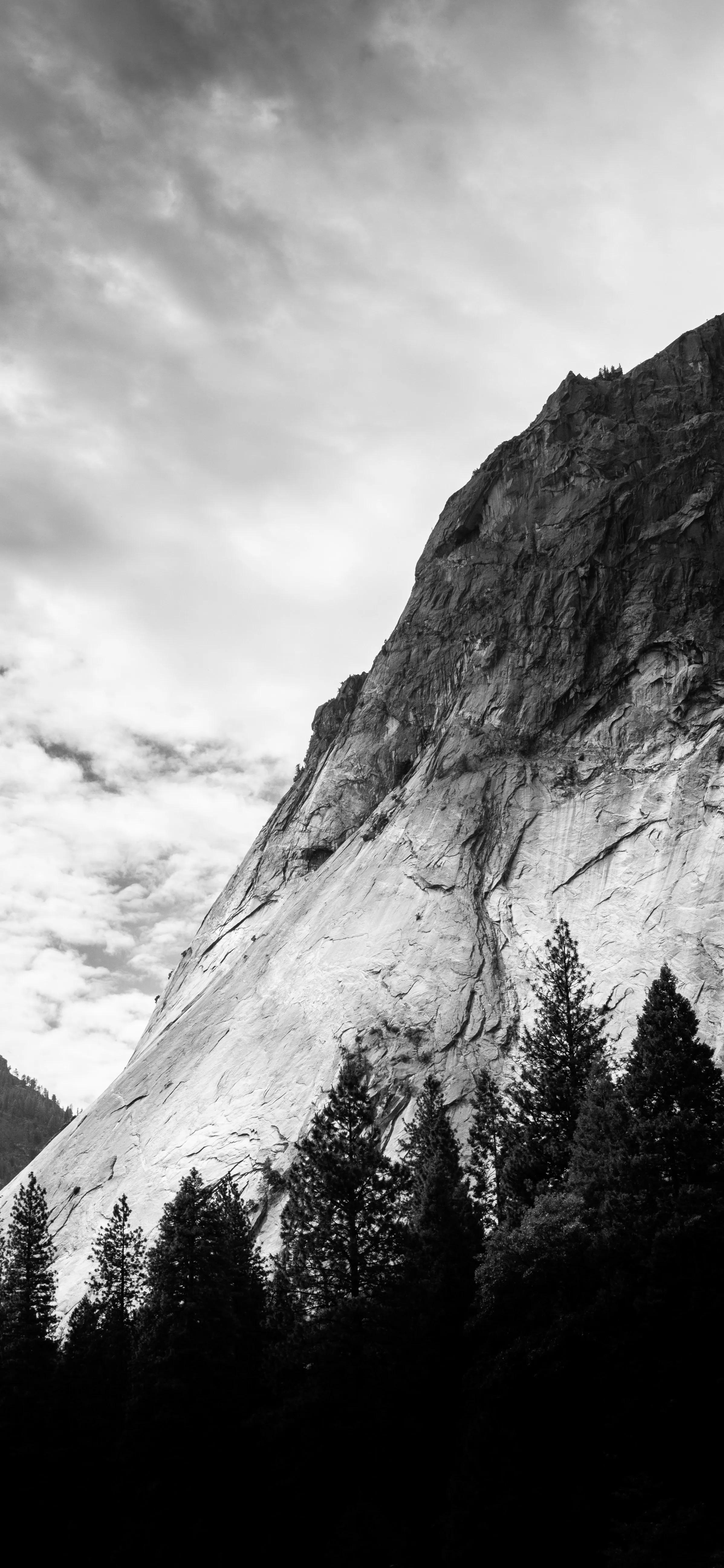 风景壁纸图片大全高清自然风景,100张自然风景全屏壁纸花