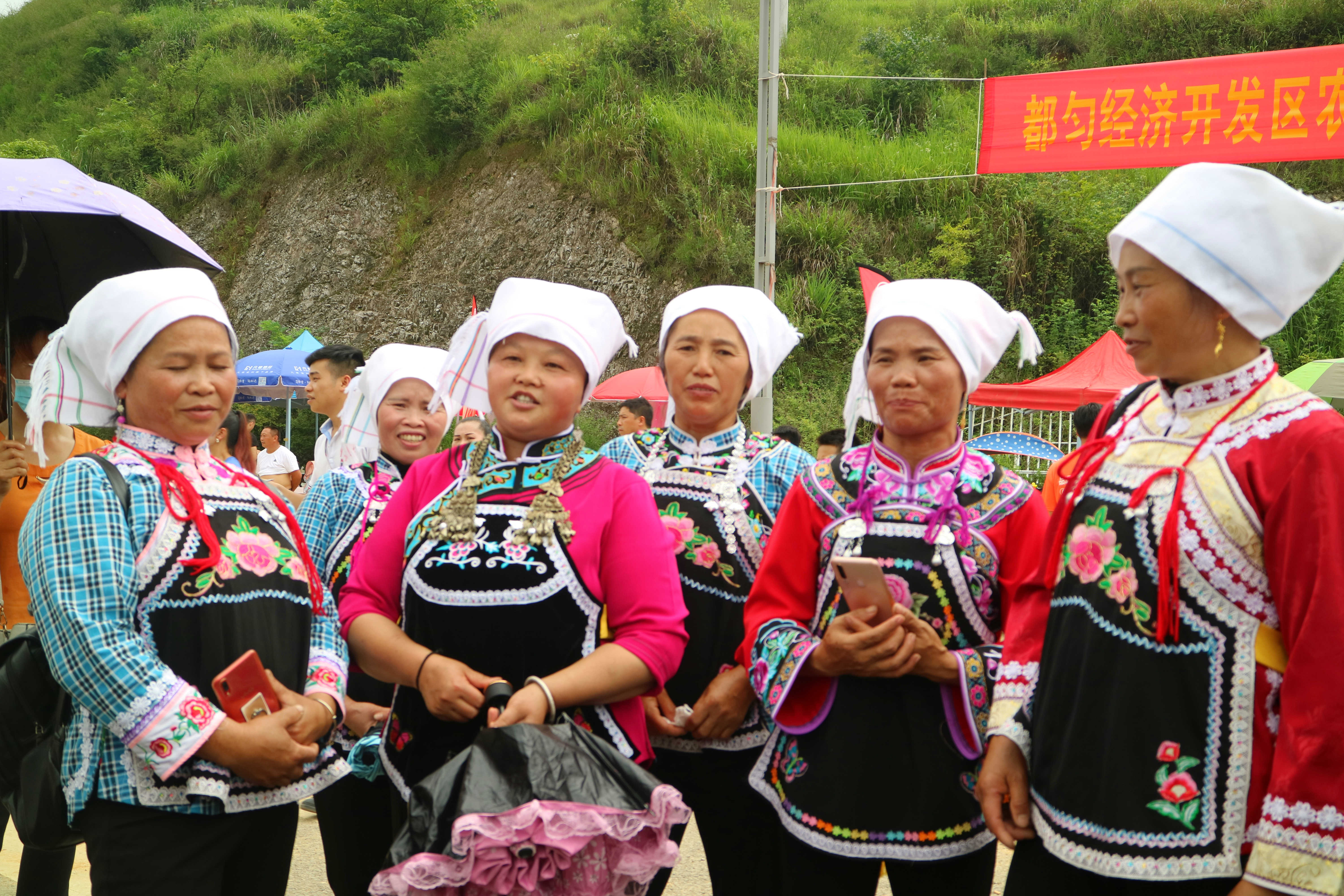 羊安杨梅节直播,羊安杨梅采摘