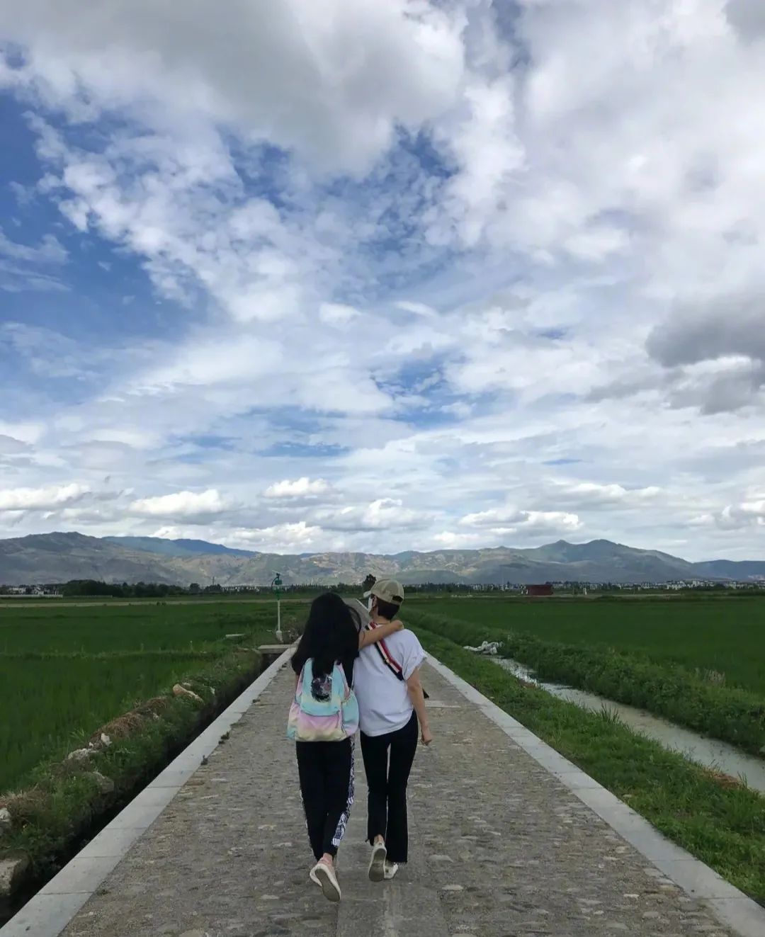 马伊琍的情感录,马伊琍人设危机完整版