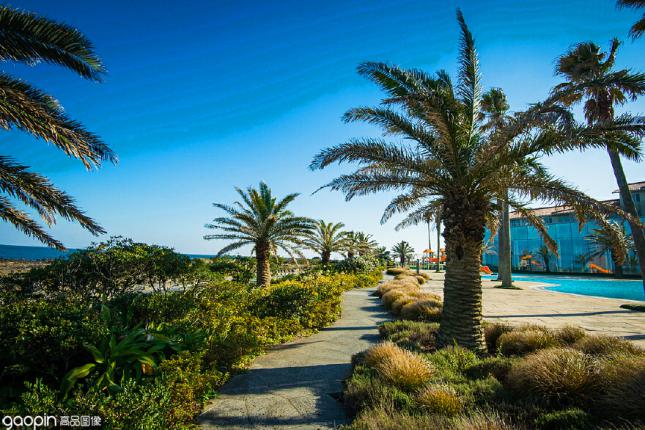 韩国济州岛酒店性价比,韩国济州岛度假