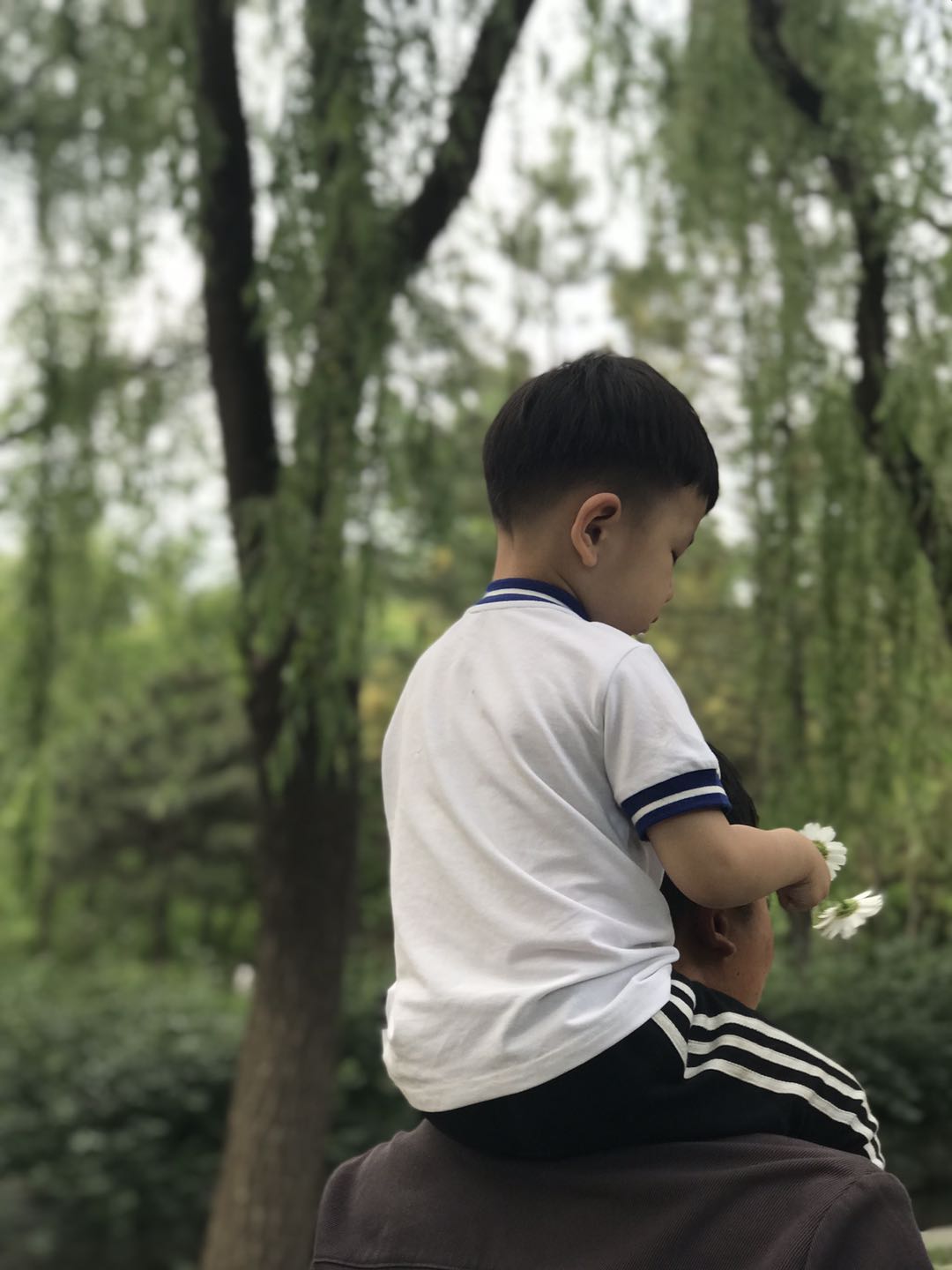 携快乐出发，邀幸福直达—自驾唐DM深圳至洛阳1500公里之旅