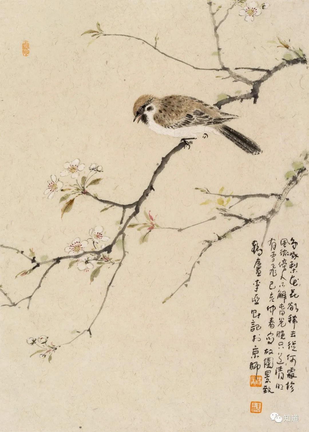 春天的脚步近了好像一切都醒来了,春天的脚步已经悄然而至