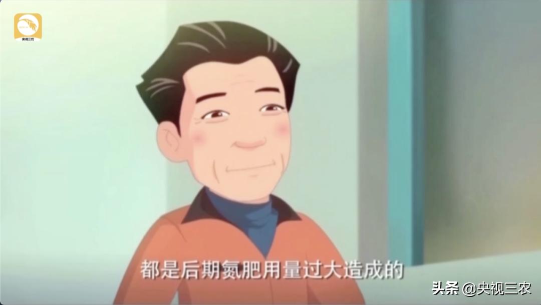 水稻倒伏怎么防止发芽,水稻可以用二甲四氯钠防止倒伏吗