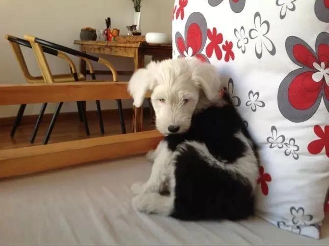 在大理生活的外省人,生活在别处的人