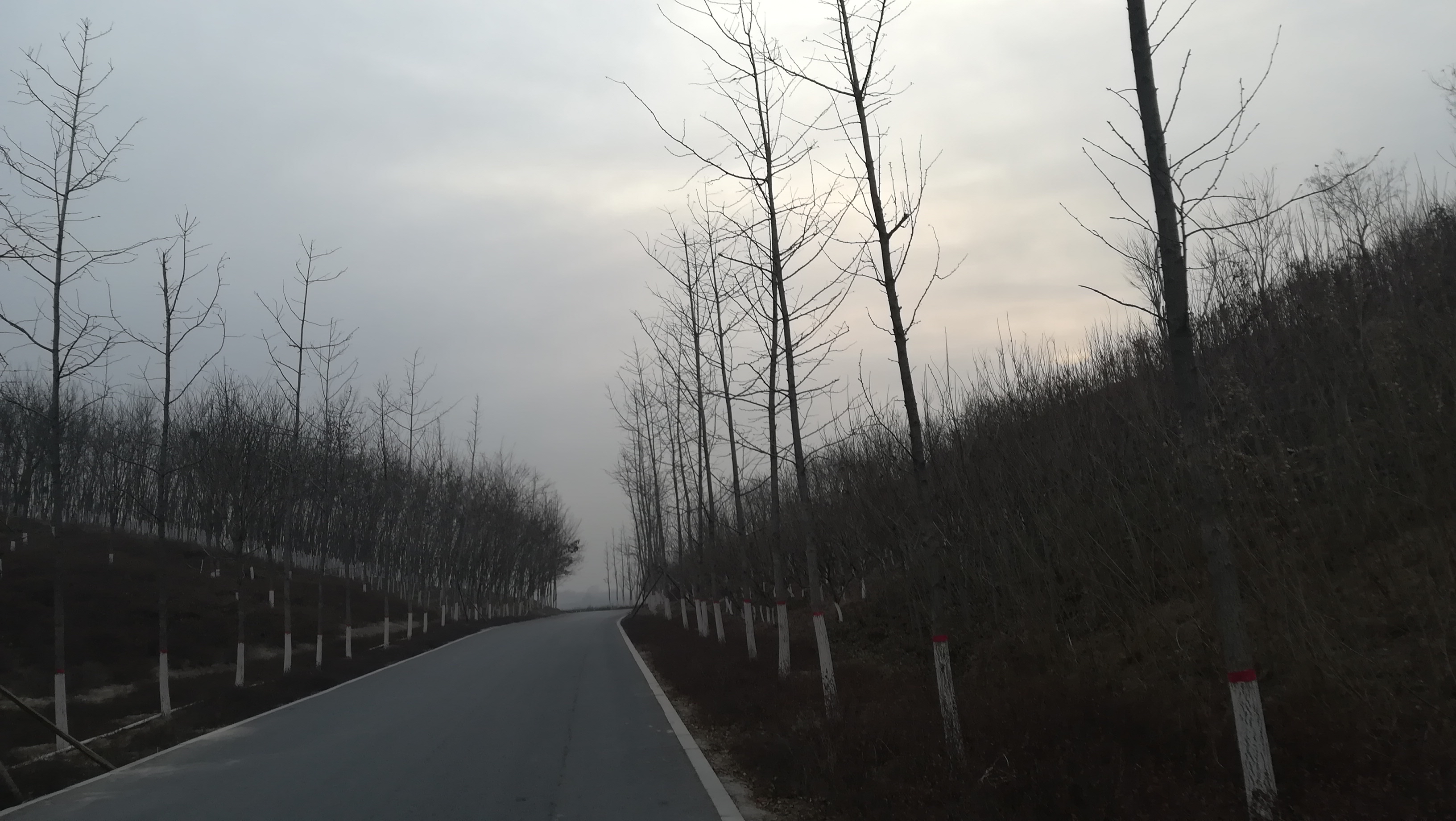 发烧断食好吗,感冒发烧适合轻断食吗