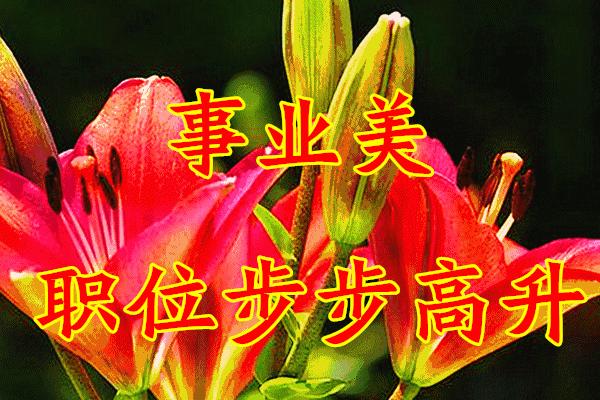 三八妇女节将至祝姐妹们节日快乐,三八妇女节提前祝女友们节日快乐