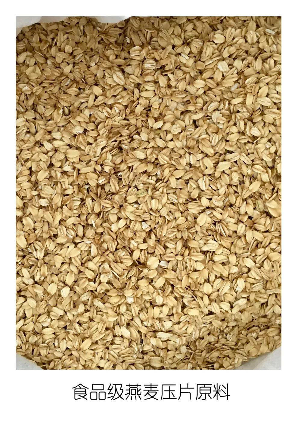 基础马粮跟复合马粮,哪个马粮好一点