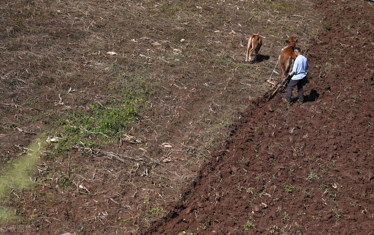 今年秋雨较多的地区有哪些,今年秋雨多是什么现象