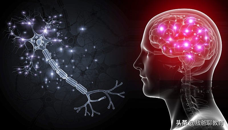 3-6岁开发右脑的十种方法,开发右脑怎么样