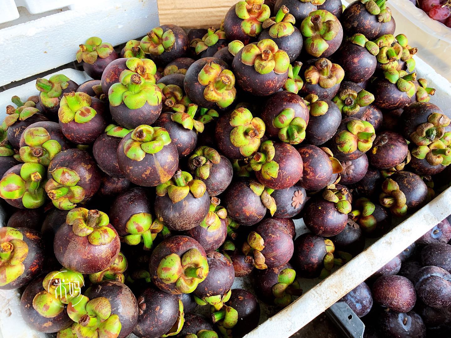 山竹选皮厚还是皮薄,山竹是挑红的还是黑的