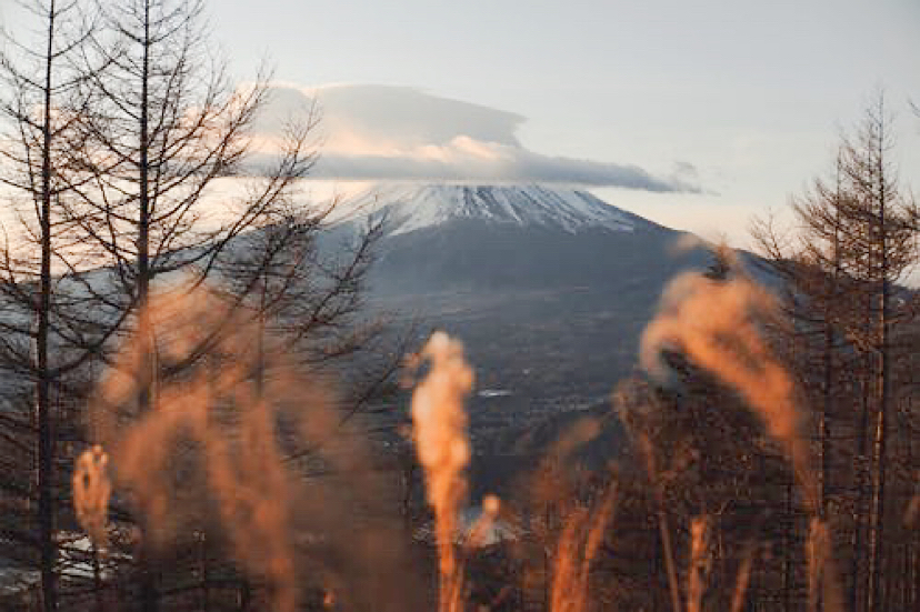 幸元会ceo套餐,幸元会国际健康体检怎么样