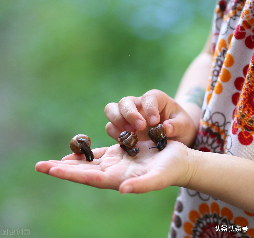 蜗牛护肤品都有修护作用吗,蜗牛的护肤品怎么这么便宜