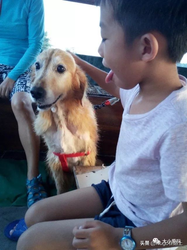 去香港亲子旅行攻略路线图片,香港亲子游最佳路线图