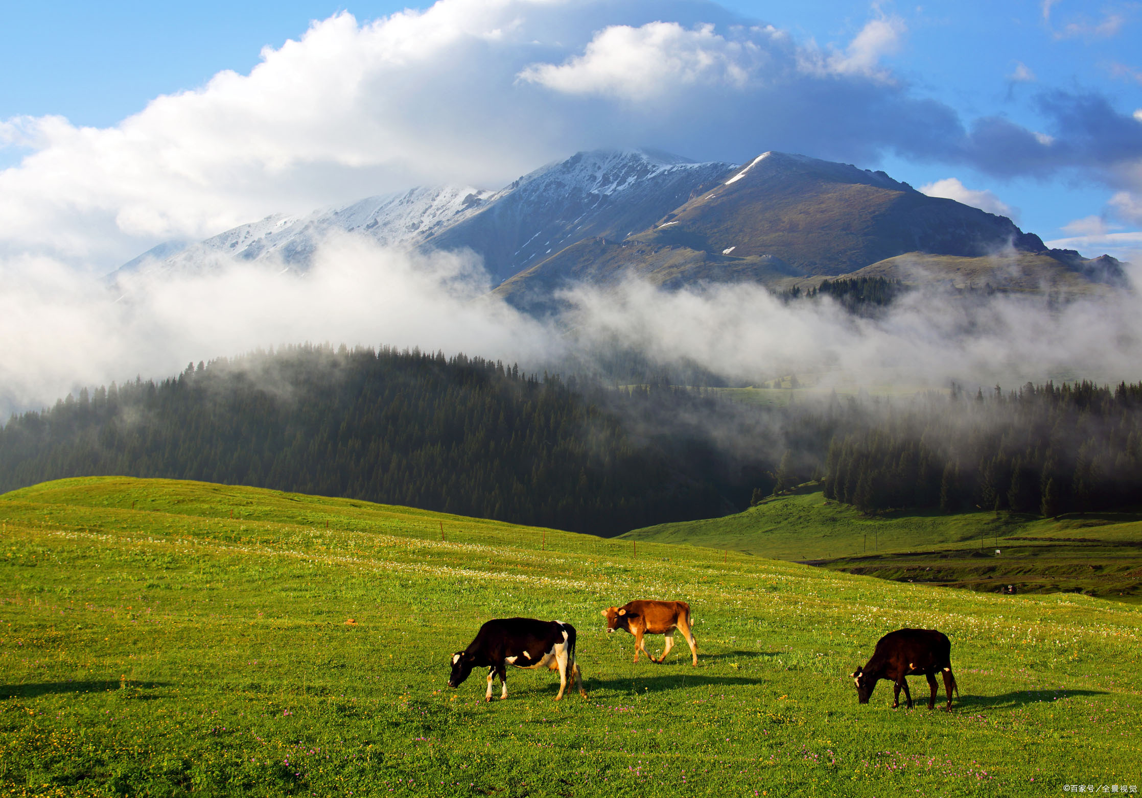 新疆伊犁果子沟风景素材,新疆伊犁果子沟美景